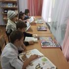 IMG_6290-08-11-18-08-56
