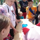 IMG_20190625_110952