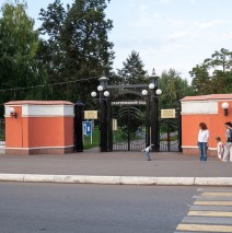 Библиотечные среды в скарятинском саду