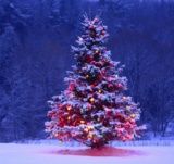 Путешествие по новогодним традициям