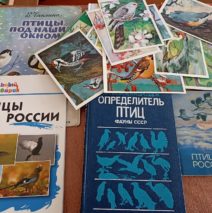 «Крылатые герои книг»