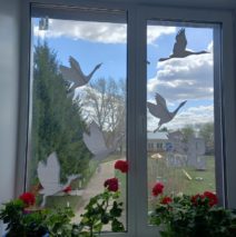 «Окна Победы»