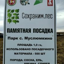 Всероссийская «Сохраним лес»