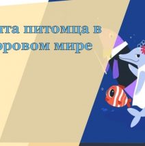 «Цифровой ликбез»