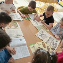 «Каждому скворцу по дворцу»